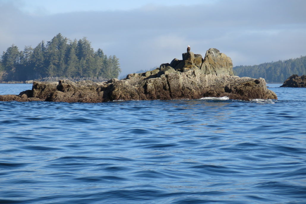 Eagle Nook Resort Ucluelet Exterior foto
